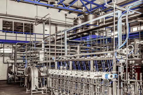 Tjänster för livsmedelsindustrin.